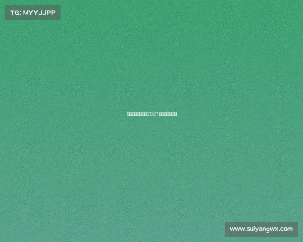 美职业联赛赛事—2021美职联赛制规则